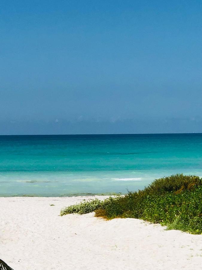 Cabana Colibri A 50 Metros De La Playa Apartment Ел Куйо Екстериор снимка
